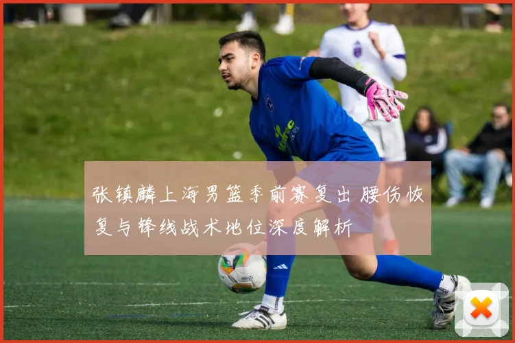 张镇麟上海男篮季前赛复出 腰伤恢复与锋线战术地位深度解析