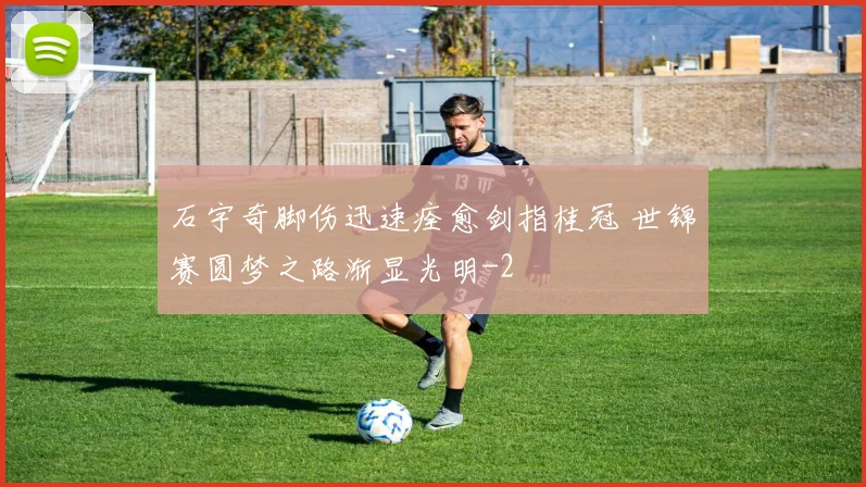 石宇奇脚伤迅速痊愈剑指桂冠 世锦赛圆梦之路渐显光明