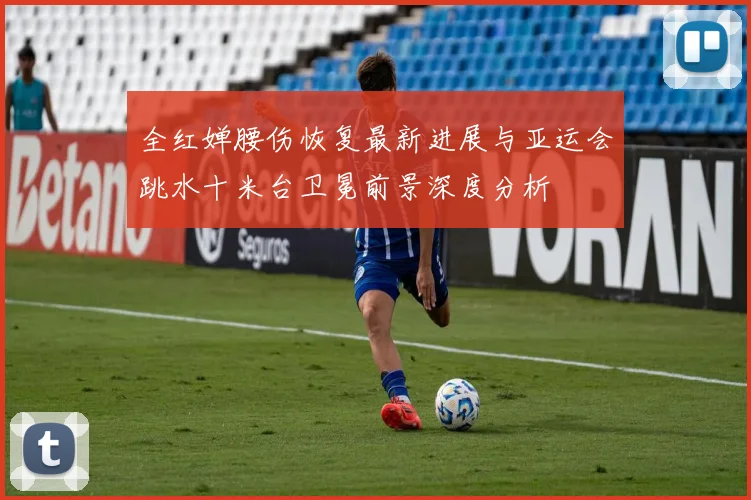 全红婵腰伤恢复最新进展与亚运会跳水十米台卫冕前景深度分析