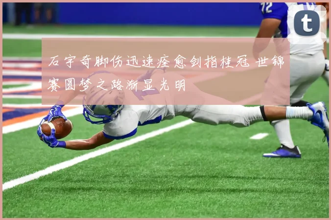 石宇奇脚伤迅速痊愈剑指桂冠 世锦赛圆梦之路渐显光明
