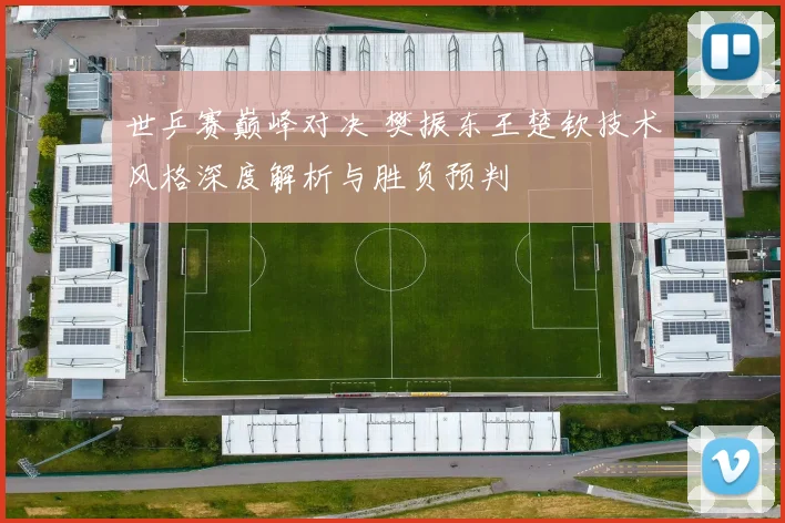世乒赛巅峰对决 樊振东王楚钦技术风格深度解析与胜负预判